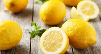 Ціни на лимони в Україні ще зростуть: Туреччина обмежує поставки Рис.1