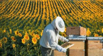 На Львівщині стартувала програма підтримки галузі бджільництва Рис.1