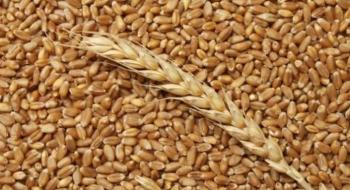 ПАТ «Аграрний фонд» збільшує обсяги закупівель зерна для забезпечення продовольчої безпеки Рис.1