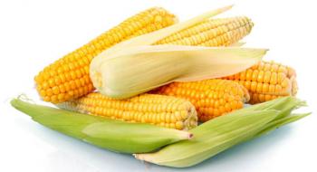 Солодка кукурудза – не тільки смачна їжа, а й корисні ліки Рис.1