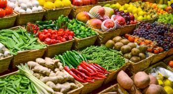 У квітні-травні можливі збої поставок продовольства, – ФАО Рис.1