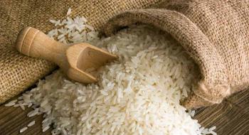 Україна вперше експортувала рисове насіння Рис.1