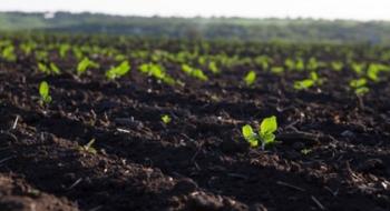 Вітчизняний агрохолдинг відроджуватиме родючість ґрунтів органічними добривами власного виробництва Рис.1