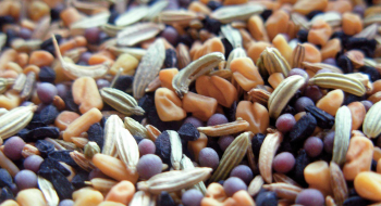 За яких умов можна ввозити насіння, що не внесене до Державного реєстру Рис.1