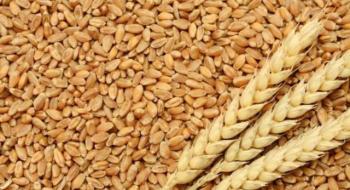 Аграрії розпочали акцію в підтримку сільгоспвиробників південних областей Рис.1