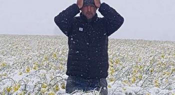 Польщу засипало снігом: фермери хапаються за голову Рис.1