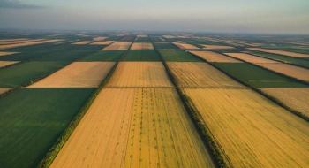 Стало відомо, як агрохолдинги зможуть обійти обмеження на придбання 100 га землі Рис.1