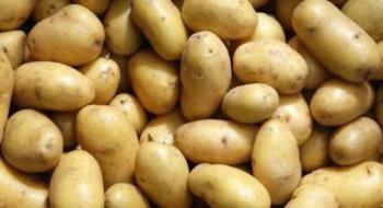 Україна збільшила імпорт російської картоплі на 20% Рис.1
