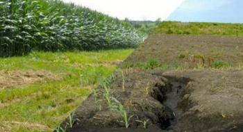 Українські аграрії втрачають третину прибутків через ерозію ґрунтів Рис.1