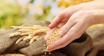 В ЄС почали діяти мита на імпорт зернових Рис.1