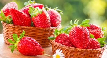 Ціни на фрукти та ягоди в Україні знаходяться на історично високому рівні Рис.1