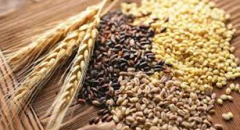 На зовнішніх ринках українське насіння реалізується за нижчими цінами Рис.1