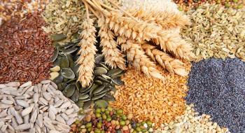 Європейські насіннєві асоціації підтримують еквівалентність для насіння зернових з України Рис.1