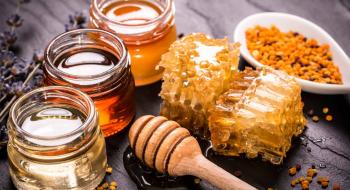 З початку року Україна експортувала майже 30 тис. тонн меду Рис.1
