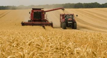 Жнива-2020: Намолочено перші 100 тис. тонн збіжжя нового врожаю Рис.1