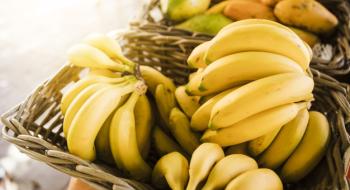 Банан - найдоступніший за ціною фрукт України Рис.1