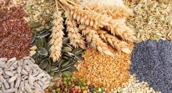 Парламент зареєстрував законопроект про спрощення процедур експертизи, реєстрації сортів та обігу насіння Рис.1