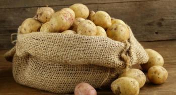 У Німеччині дозволили новий інгібітор проти проростання картоплі й цибулі Рис.1