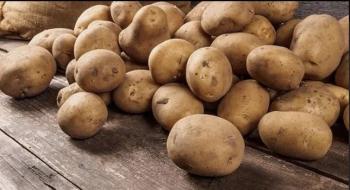 Україна ризикує втратити власне виробництво картоплі - експерт Рис.1