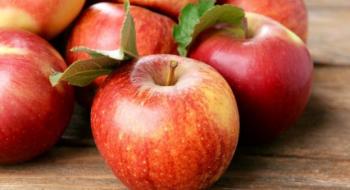 Українські садівники знижують ціни на яблуко нового врожаю Рис.1