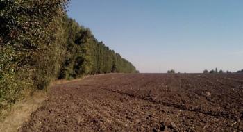 Уряд прийняв Постанову про збереження полезахисних лісових смуг Рис.1