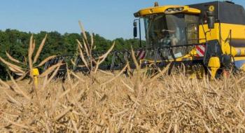 В Ristone Holdings урожай ранніх зернових кращий, ніж у попередні роки Рис.1