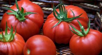 В Україні різко зросли ціни на помідори Рис.1