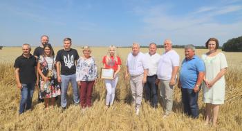 В Україні зафіксовано новий рекорд урожайності пшениці Рис.1