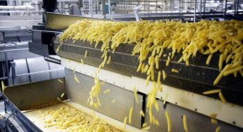 В Україні запустять завод з виробництва картоплі фрі Рис.1