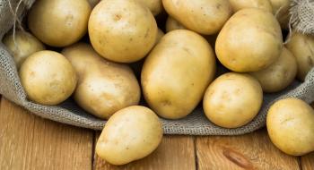 Аграрії забезпечені насіннєвою картоплею лише на 14% Рис.1