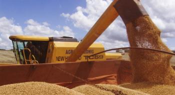 Астарта запустила програму кредитування під зерно майбутнього урожаю Рис.1