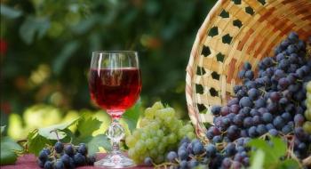 Для порятунку виноробства пропонують скасувати акциз Рис.1