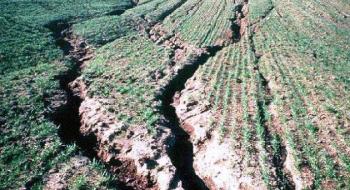 Ерозія ґрунтів у світі у найближчі 50 років збільшиться до 66%, - дослідження Рис.1