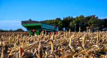 На Черкащині переорюють поля кукурудзи: посуха знищила 1,2 тис. га посівів Рис.1