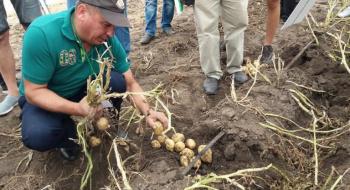 На Черкащині представили нові та найурожайніші сорти картоплі немецької селекції Рис.1