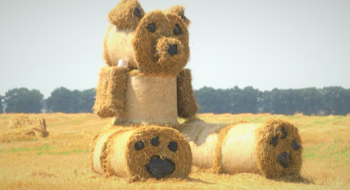 На Чернігівщині аграрії створили гігантського «ведмедика» із солом’яних тюків Рис.1
