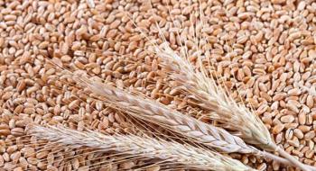 Найкращий старт для озимих зернових культур Рис.1