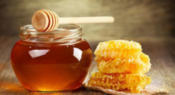 Переговори між Україною та ЄС мають бути націлені на збільшення безмитної квоти на поставки меду, - думка Рис.1