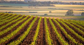 Syngenta змінює підходи ведення аграрного виробництва Рис.1