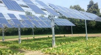 Тоновані сонячні панелі можуть підвищити доходи фермерів Рис.1