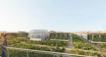 У Парижі відкрили найбільший у світі сад на даху Рис.1