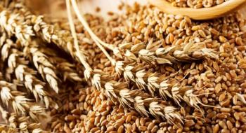 Україна відправила на експорт 3,2 млн тонн зернових нового врожаю Рис.1