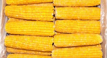 Заморожена солодка кукурудза – досі вільна ніша українського агропростору Рис.1
