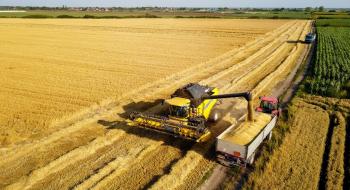 Жнива-2020: В Україні вже зібрано майже 33 млн тонн зерна Рис.1