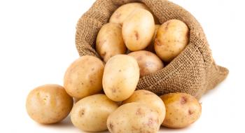 На початку нового сезону Україна знов імпортує картоплю Рис.1