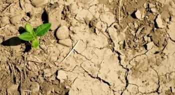 Повітряно-ґрунтова посуха в Україні посилюється — Укргідрометеоцентр Рис.1