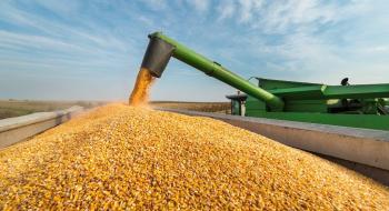Україна вперше за 12 років поставляє пшеницю в Саудівську Аравію Рис.1