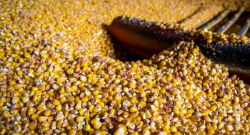 В 2020 році аграрії переплатять 300 млн гривень за газ для кукурудзи Рис.1