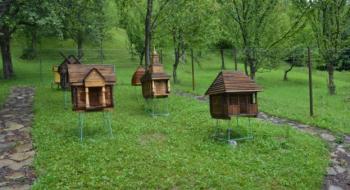 В Україні створили першу пасіку з рідкісними автохтонними бджолами Рис.1
