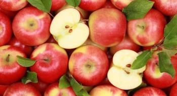 В Україні знижуються ціни на яблука Рис.1